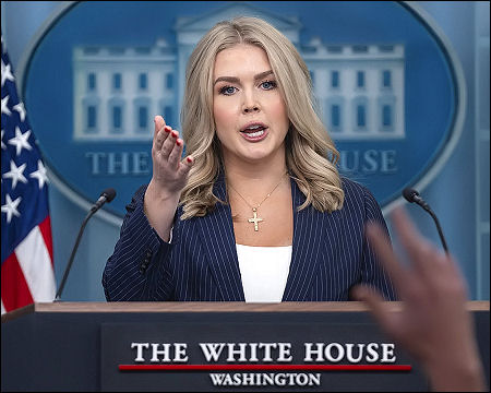 Gulf states press Trump to continue war until Iran is fully weakened